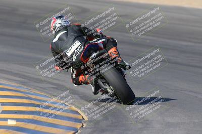 media/Nov-12-2023-SoCal Trackdays (Sun) [[5d1fba4e7d]]/Turn 10 Backside (115pm)/